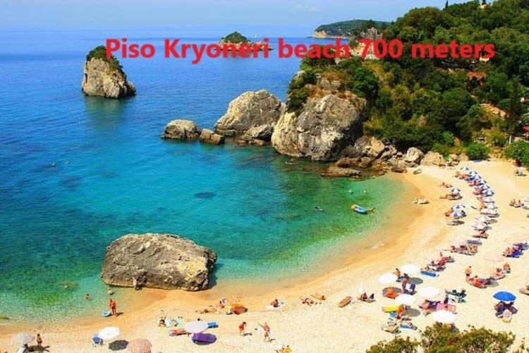 Odyssey Daire Parga Dış mekan fotoğraf